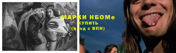 spice Богородск