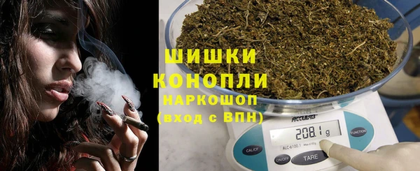 spice Богородск